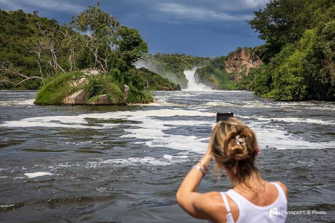 4-Day Murchison Falls Big 5 Wildlife & Nile Boat Cruise Safari Gallery 3
